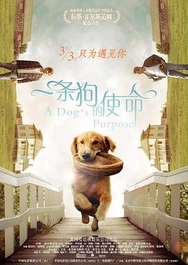 亚洲高清在线视频